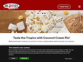 'brusters.com' screenshot