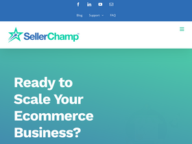 'sellerchamp.com' screenshot