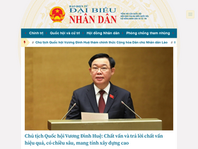 'daibieunhandan.vn' screenshot