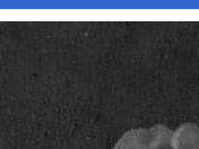 Somnilab website screenshot