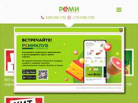 'remi.ru' screenshot