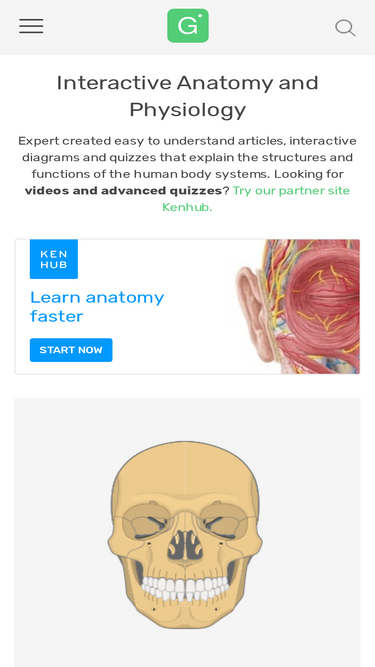 Learn human anatomy the fastest, most engaging and guided way @Kenhub