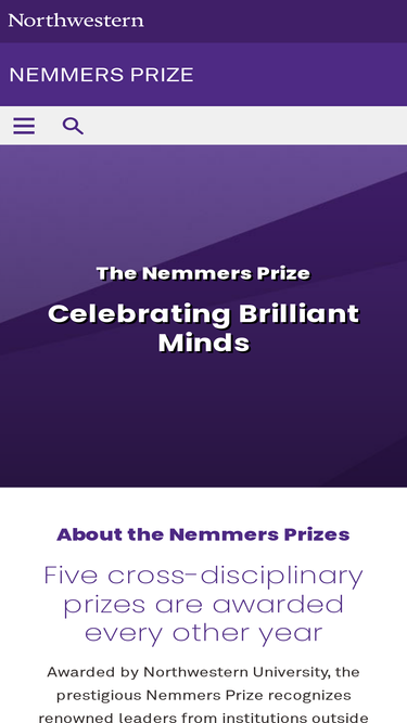 nemmers.northwestern.edu