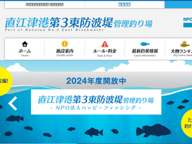 'happyfishing-n.jp' screenshot