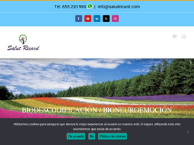 'saludricard.com' screenshot