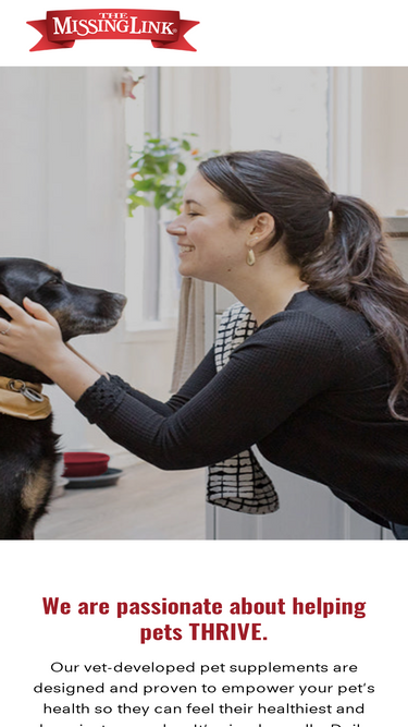 missinglinkproducts.com