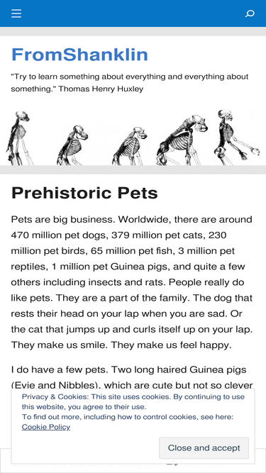 fromshanklin.wordpress.com