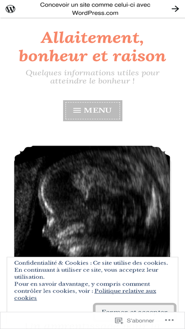 allaiterbonheuretraison.wordpress.com
