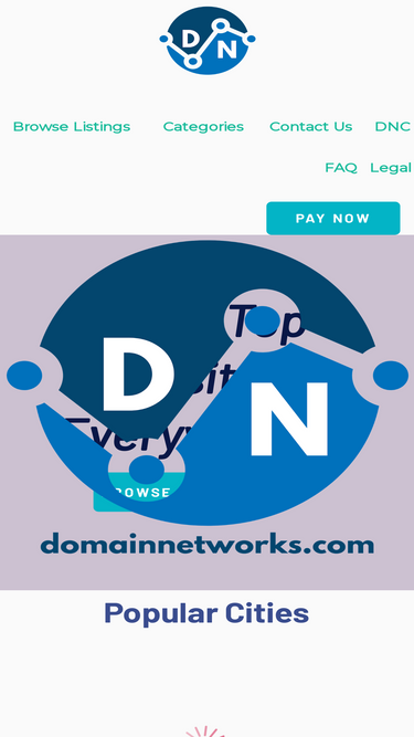 domainnetworks.com