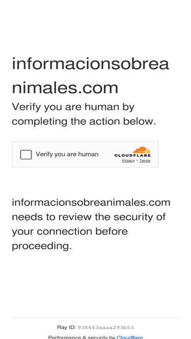 informacionsobreanimales.com
