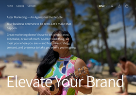 astermarketinghawaii.com homepage screenshot