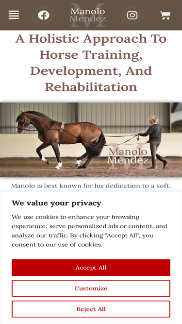 manolomendezdressage.com