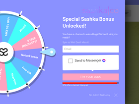 'sashkaco.com' screenshot