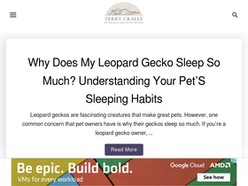 'terrycralle.com' screenshot