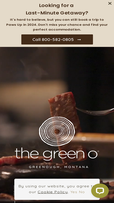 thegreeno.com