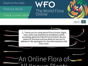 'worldfloraonline.org' screenshot