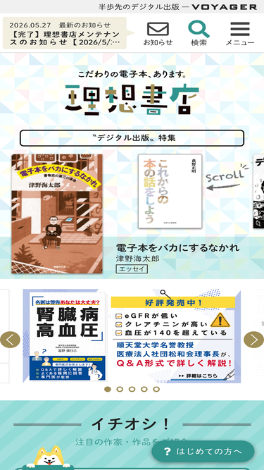 binb-store.com