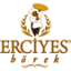 erciyesborek.com