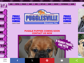 pugglesville.com
