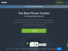 'mspy.org' screenshot