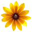 amarilluh.com