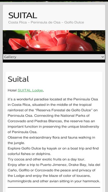 suital.com