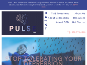 'pulsetms.com' screenshot