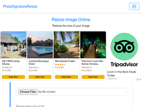 'photosignatureresize.com' screenshot