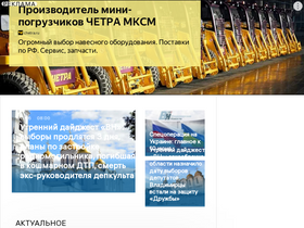 'newsvladimir.ru' screenshot