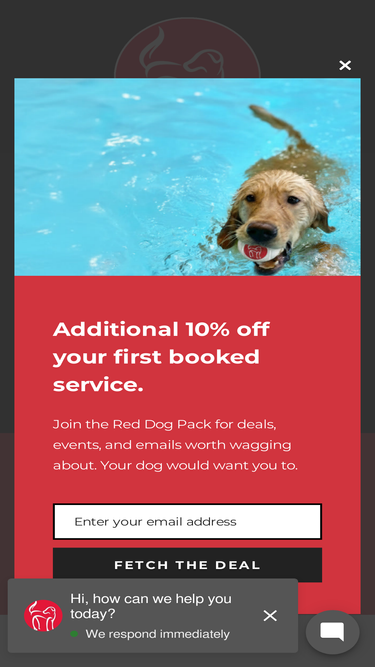 reddogpetresort.com