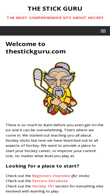 thestickguru.com