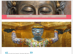 'netspirit.dk' screenshot