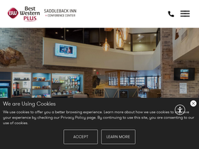 bwsaddleback.com