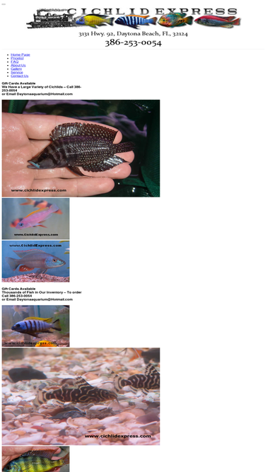 cichlidexpress.com