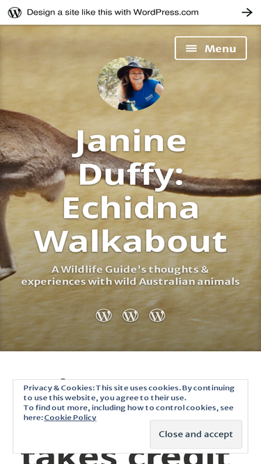 echidnawalkabout.wordpress.com