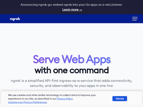 'ngrok.com' screenshot