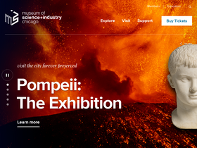 'msichicago.org' screenshot