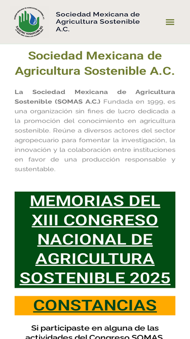 somas.org.mx
