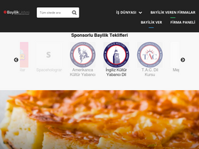 'bayiliklistesi.com' screenshot