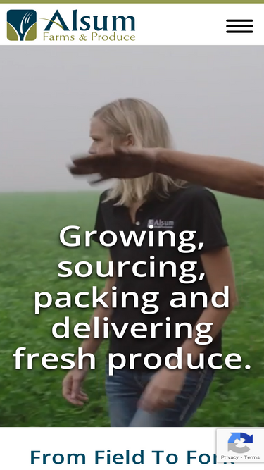 alsum.com