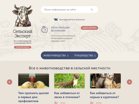 'selo-exp.com' screenshot