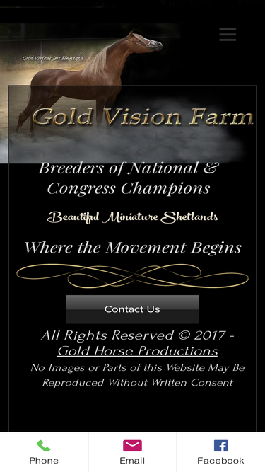 goldvisionfarm.com