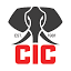 cictg.com