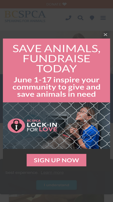 spca.bc.ca