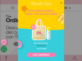 'blush-bar.com' screenshot