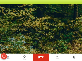 'pmctire.com' screenshot