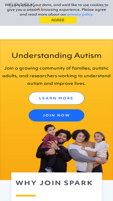 sparkforautism.org