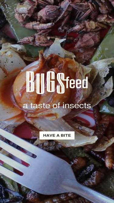 bugsfeed.com