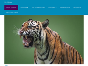 'wallbox.ru' screenshot