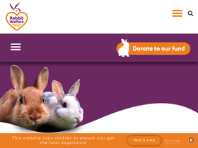 'rabbitwelfare.co.uk' screenshot